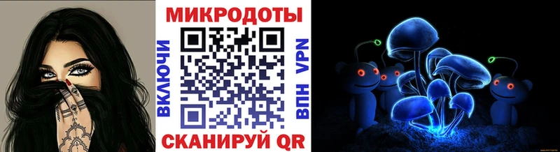 hydra   Звенигород  Псилоцибиновые грибы Psilocybine cubensis  как найти наркотики 