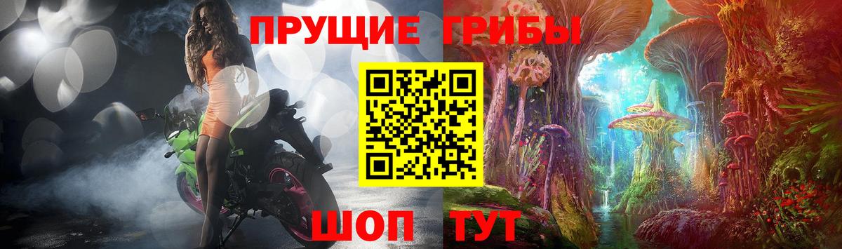 Звенигород  Псилоцибиновые грибы MAGIC MUSHROOMS  Вход с VPN 